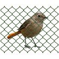 Ochranné siete proti vtákom