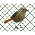 Ochranné siete proti vtákom